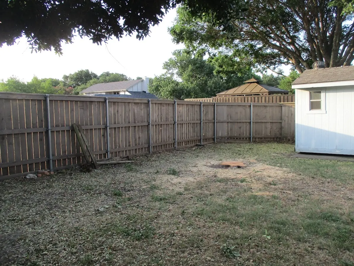 Cleared yard after professional tree removal in Laverne